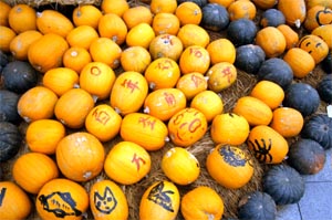 Pumpkins