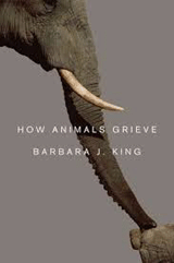 How Animals Grieve cover