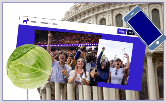 Photo composition with Capitol, DNC website, and Cabbage