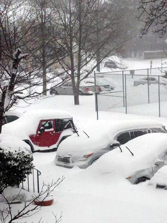 Snowstorm Lorton VA January 23, 2016