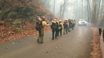 Smoky Mountains