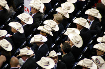 Texas delegates at RNC, 2012