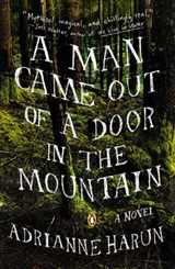 cover art of A Man Came Out of the Door in the Mountain