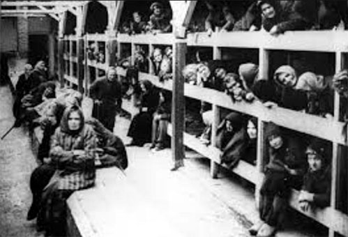 Auschwitz barracks