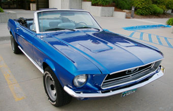 blue mustang