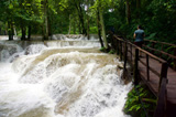 bridge by falls