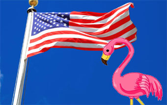 USA flag with flamingoinf front