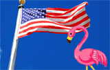 USA flag with flamingo in foreground