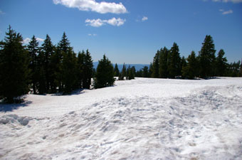 Winter snow scene