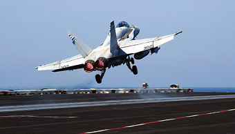 Hornet Fighter