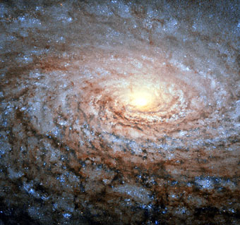 Messier 63 sunglower