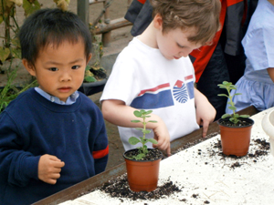 boys planting