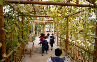 Arbor entrance