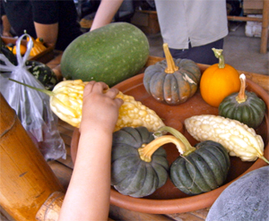 selection of gourds