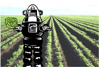 Robot in a field holding a head of lettuce