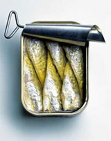 can of sardines