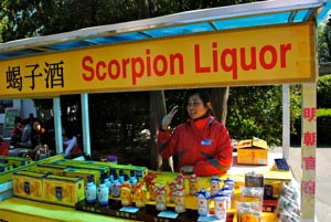 scorpion liquor