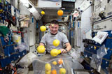 Fruit floating in space