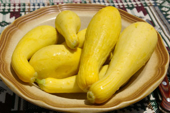 summer squash