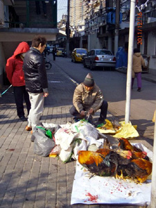 street chicken vendors