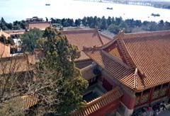 view from top of Longevity Hill