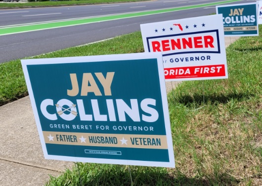 Photo of yard signs by Thursday Review